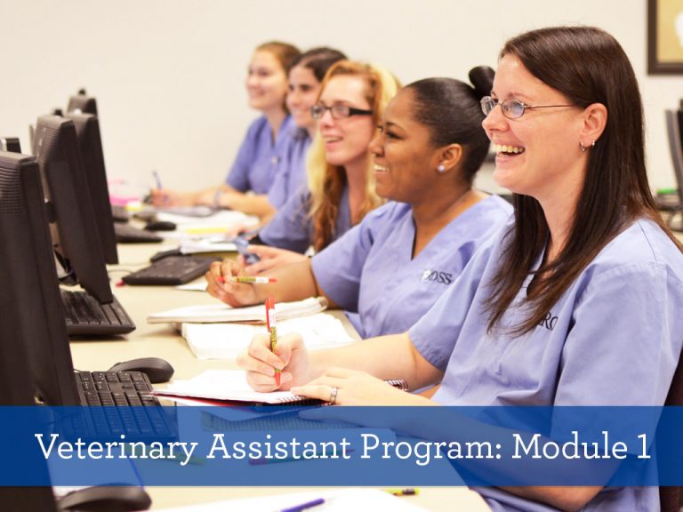 Veterinary Assistant Program Module 1 Ross Campus News and Events