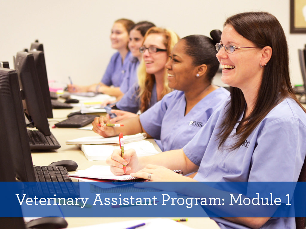 Ross Medical Education Center Veterinary Assistant Program Module 1 Students at computers