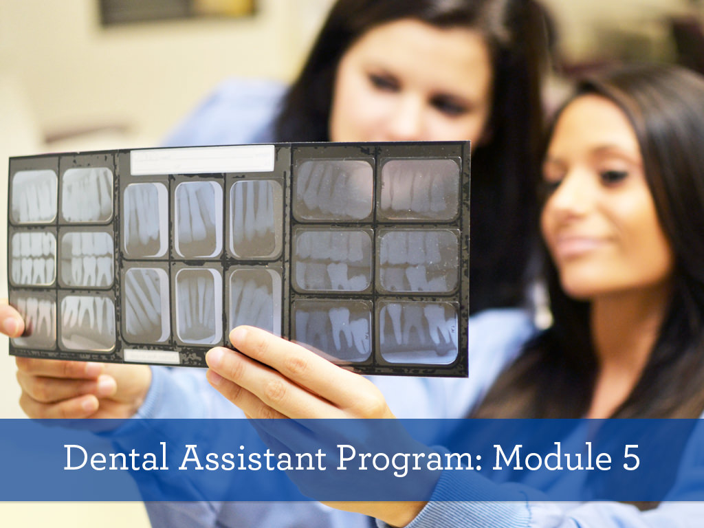 Ross Medical Education Center Dental Assistant Program Module 5 Students Looking at Xray