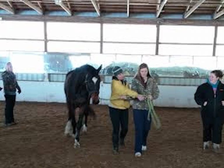 Ross Veterinary Assistant Students in New Baltimore Get Fun Handson