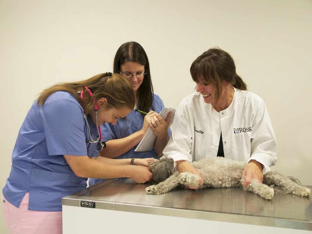 A Career as a Veterinary Assistant Do you have what it takes Ross Instructor and students with dog