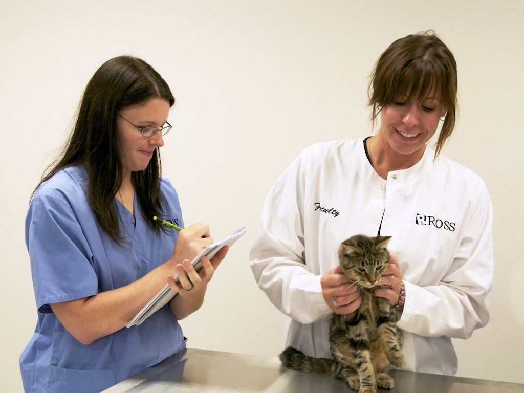 Facts about Cats and Dogs Ross Medical Education Center Veterinary Assistant Program