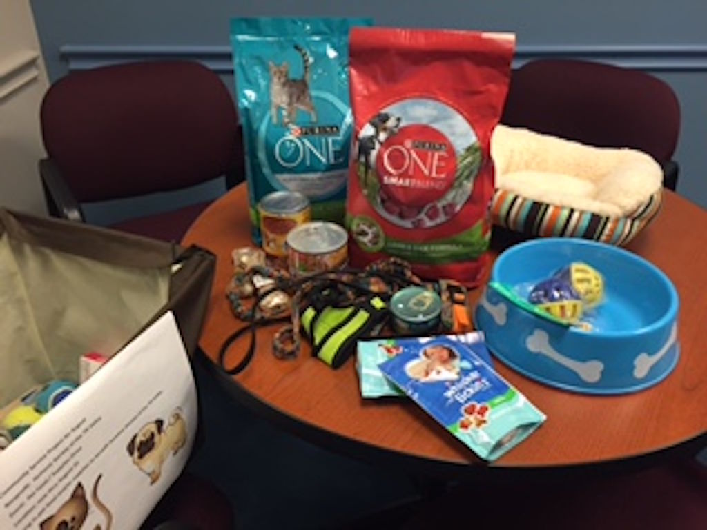 Ross Medical in Knoxville Works Hard in the Community Throughout Summer