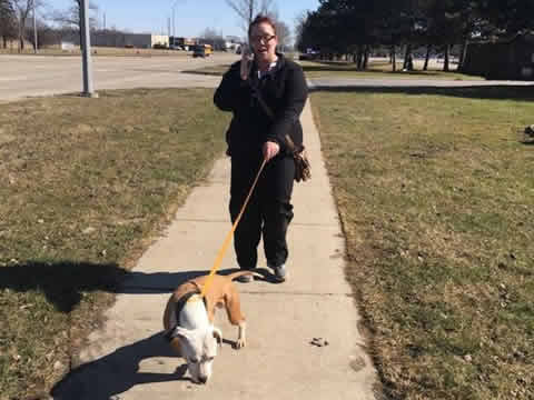 Ross Medical in Taylor Helps Out at Taylor Animal Shelter